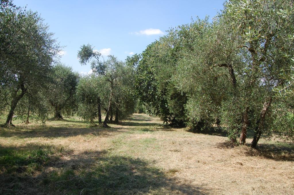 Maison d'hôtes La Spiga D'Oro à Pozzo  Extérieur photo