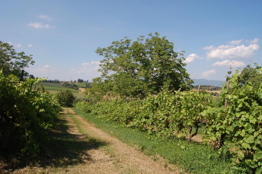 Maison d'hôtes La Spiga D'Oro à Pozzo  Extérieur photo