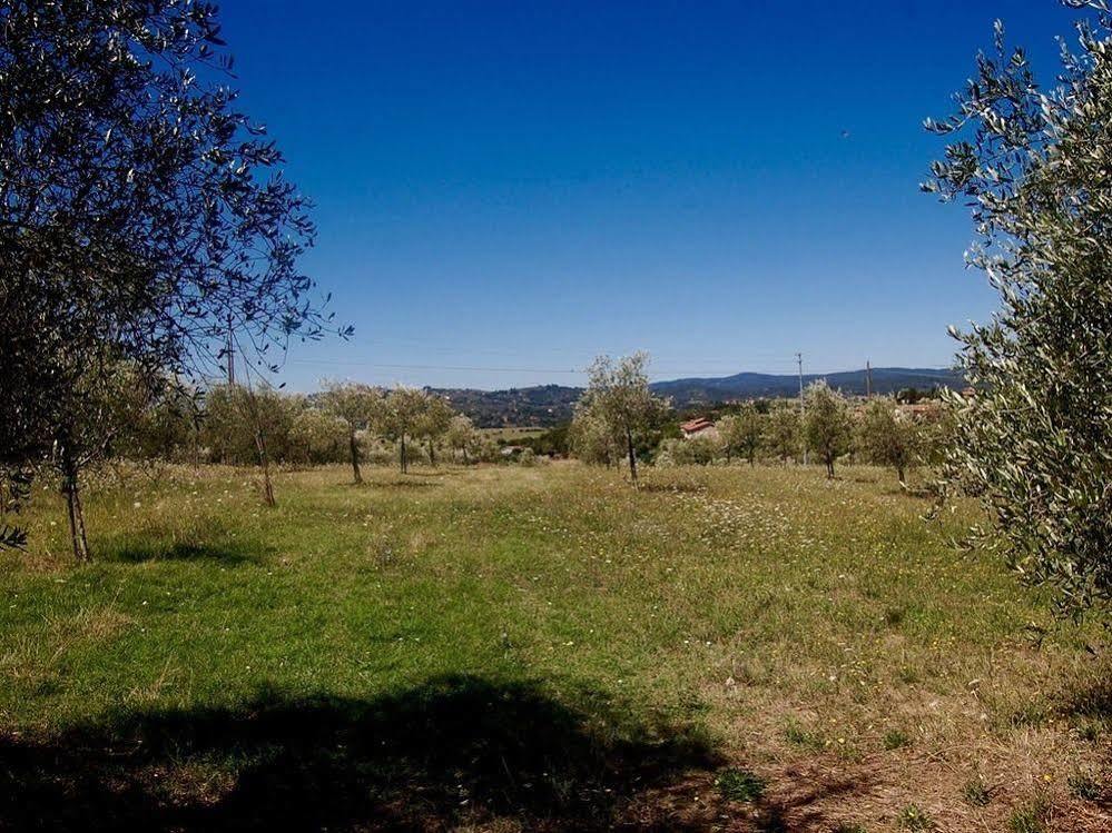 Maison d'hôtes La Spiga D'Oro à Pozzo  Extérieur photo