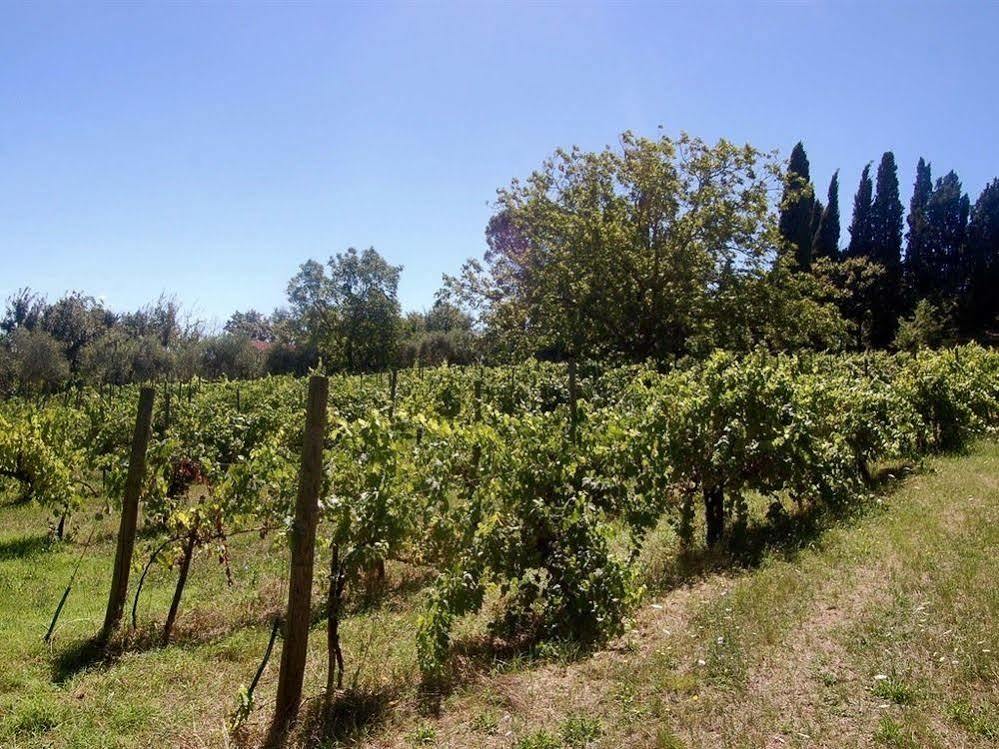Maison d'hôtes La Spiga D'Oro à Pozzo  Extérieur photo